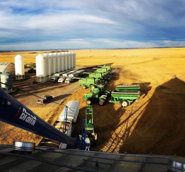 Grain Rush Harvest Dinner Day 11 winner! Mullen Farms! StrathmoreNow